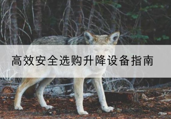 皇姑升降货梯厂家推荐-*安全选购升降设备指南