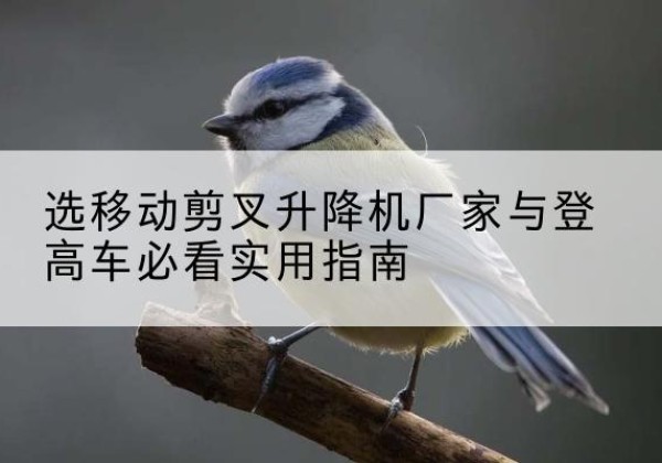 皇姑电动升降机厂家-选移动剪叉升降机厂家与登高车必看实用指南