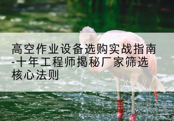 皇姑剪叉式升降机厂家-高空作业设备选购实战指南-十年工程师揭秘厂家筛选核心法则